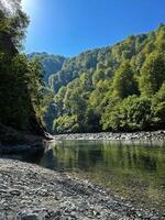 claro como el cristal montaña río fluye suavemente mediante vibrante boscoso sierras, capturado en un soleado día, Perfecto para aventuras y ecología temas foto