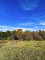 vívido otoño paisaje con un claro azul cielo terminado un tranquilo campo, transicion arboles calificación el cambio de estaciones foto