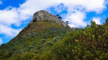 Captivating view of Lion's Head Mountain in Cape Town, surrounded by indigenous fynbos under a cloud-speckled sky photo