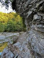 A peaceful river corner surrounded by lush greenery, showcasing clear water and rocky banks in a secluded forest photo