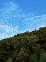 Crisp view of altocumulus clouds scattered across a blue sky, with a lush green forest canopy filling the lower frame photo