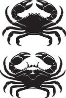 Crabs' illustration. Crabs silhouette on white background vector