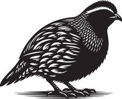 Quail silhouette design icon, Quail design isolated on white background. vector