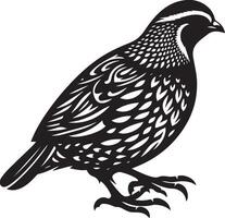 Quail silhouette design icon, Quail design isolated on white background. vector