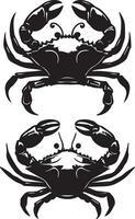 Crabs' illustration. Crabs silhouette on white background vector