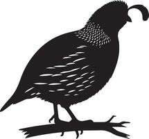 Quail silhouette design icon, Quail design isolated on white background. vector