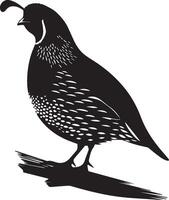 Quail silhouette design icon, Quail design isolated on white background. vector