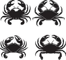 Crabs' illustration. Crabs silhouette on white background vector