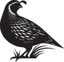 Quail silhouette design icon, Quail design isolated on white background. vector