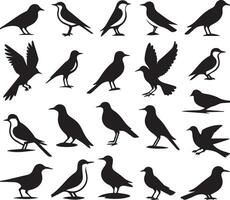 Birds silhouette set. Birds' icon set. vector