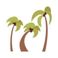 Simple colored flat set of tropical palm trees with coconuts. Collection of summer isolated illustrations, elements, objects, cliparts, icons. For books, backgrounds, environments, logos, designs vector