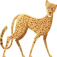 Cartoon Cheetah isolated on white background vector