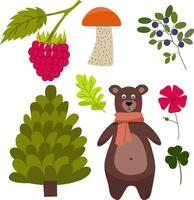 Set of hand drawn illustration of bear, tree, mushroom, blueberry, raspberry, leaves and flower on white background. vector