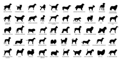 Dog Breeds Silhouette Set vector