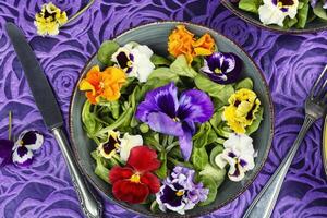 Salad of edible flowers, vegetarian food. photo