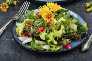 Fresco crudo diente de león ensalada, desintoxicación alimento. foto