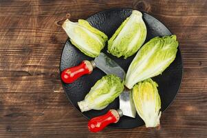 Fresh green Romaine lettuce photo