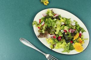 Fresco ensalada con dientes de león foto