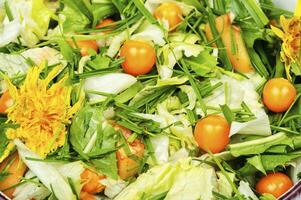 Raw salad from wild plants and physalis. photo