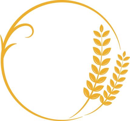 Golden Agriculture Wheat Ears Frame Illustration Graphic Element Art Card