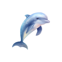 Dolphin Isolated Detailed Watercolor Hand Drawn Painting Illustration png