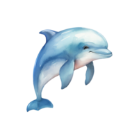 Dolphin Isolated Detailed Watercolor Hand Drawn Painting Illustration png
