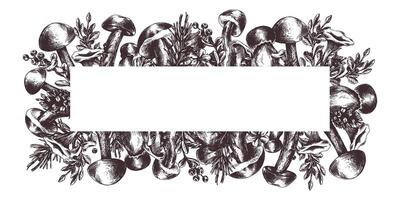 comestible bosque hongos, boleto, rebozuelos con arándanos y arándanos rojos, hojas, abeto y conos gráfico ilustración, mano dibujado con marrón tinta, línea Arte. rectangular marco modelo vector
