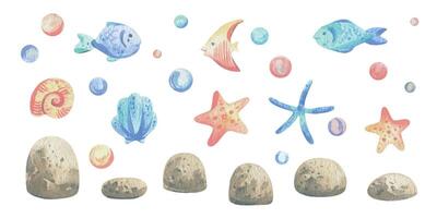 Fish, starfish, seashell, bubbles, pebbles. Watercolor illustration hand drawn with pastel colors turquoise, blue, mint, coral, peach. Set of elements isolated from background vector