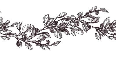 Blueberry sprigs with berries and leaves. Graphic illustration, hand drawn with brown ink, line art monochrome. Seamless border, pattern, simple on the theme of forest, harvest, nature. vector