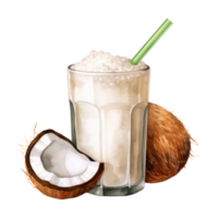 Noce di cocco bevanda isolato dettagliato acquerello mano disegnato pittura illustrazione png