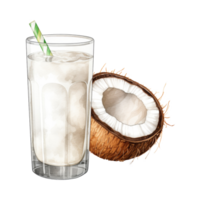 kokosnoot drinken geïsoleerd gedetailleerd waterverf hand- getrokken schilderij illustratie png