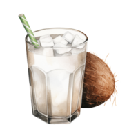 kokos dryck isolerat detaljerad vattenfärg hand dragen målning illustration png