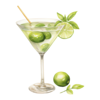 Martini cocktail isolato dettagliato acquerello mano disegnato pittura illustrazione png