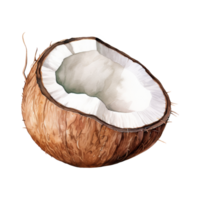 coconut Isolated Detailed Watercolor Hand Drawn Painting Illustration png