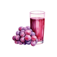 grape juice Isolated Detailed Watercolor Hand Drawn Painting Illustration png