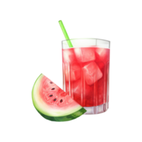 Wassermelone Saft isoliert detailliert Aquarell Hand gezeichnet Gemälde Illustration png