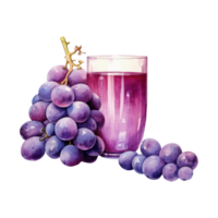 grape juice Isolated Detailed Watercolor Hand Drawn Painting Illustration png