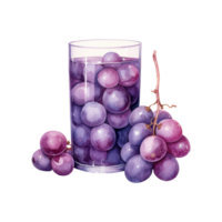 uva succo isolato dettagliato acquerello mano disegnato pittura illustrazione png