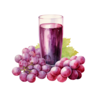 grape juice Isolated Detailed Watercolor Hand Drawn Painting Illustration png