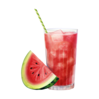 Wassermelone Saft isoliert detailliert Aquarell Hand gezeichnet Gemälde Illustration png