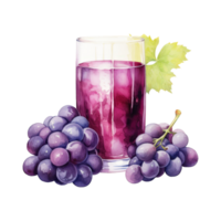grape juice Isolated Detailed Watercolor Hand Drawn Painting Illustration png