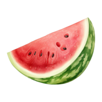 watermelon Isolated Detailed Watercolor Hand Drawn Painting Illustration png