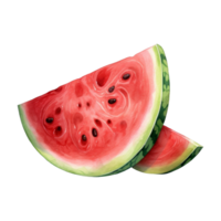 Wassermelone isoliert detailliert Aquarell Hand gezeichnet Gemälde Illustration png