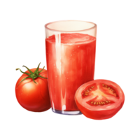 tomate jugo aislado detallado acuarela mano dibujado pintura ilustración png