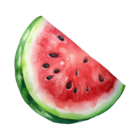 Wassermelone isoliert detailliert Aquarell Hand gezeichnet Gemälde Illustration png