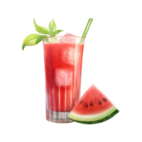 Wassermelone Saft isoliert detailliert Aquarell Hand gezeichnet Gemälde Illustration png