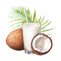 Coconut Drink Isolated Detailed Watercolor Hand Drawn Painting Illustration png