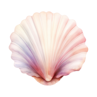 Seashell Isolated Detailed Watercolor Hand Drawn Painting Illustration png