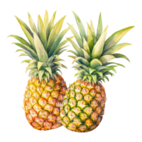 ananas geïsoleerd gedetailleerd waterverf hand- getrokken schilderij illustratie png