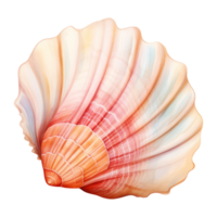 Seashell Isolated Detailed Watercolor Hand Drawn Painting Illustration png